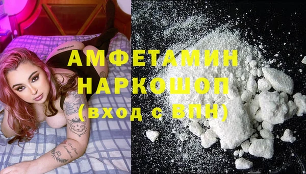 стафф Алзамай