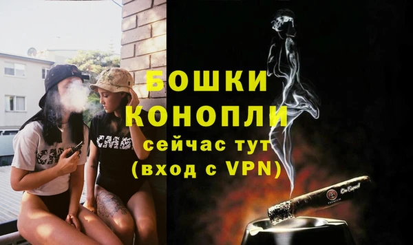 ECSTASY Заводоуковск