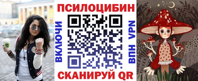 ссылка на мегу онион  Сельцо  Псилоцибиновые грибы Magic Shrooms 