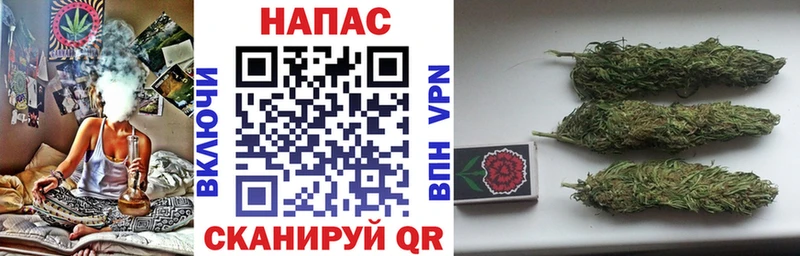 Бошки Шишки Ganja  цены   Сельцо 